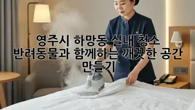 영주시 하망동 실내 청소 : 반려동물과 함께하는 깨끗한 공간 만들기